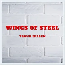 Wings of steel