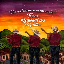 Fiesta Huasteca