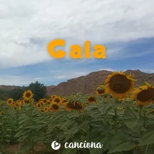 Gala