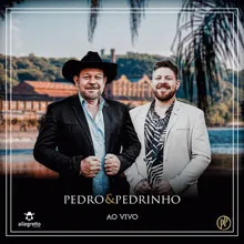 Seleção de Pagodes "Pagode em Brasília" - "Viola Divina" - "Falou e Disse" - "Pagode" - "A Coisa Tá Feia"