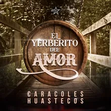 El Yerberito Del Amor