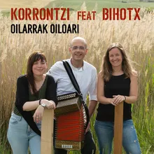 Oilarrak oiloari