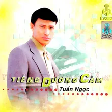 Lạc Mất Mùa Xuân