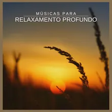 Dormir Musica Ambiente com os Sons da Natureza