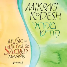 Mi Shebeirach for Aufruf (Zim)