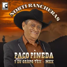 Mix Norteño 2: El Golpe Traidor / Cuestión Olvidada / Un Mar de Vino / Ahora Que Me Voy / Un Golpe Mas / Corrido a Camilo Roche