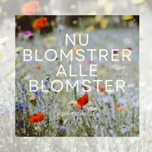 Nu Blomstrer Alle Blomster