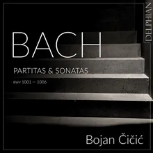 Partita No. 1 for Solo Violin in B Minor, BWV 1002: VIII. Double IV