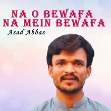 Na O Bewafa Na Mein Bewafa