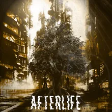 Afterlife