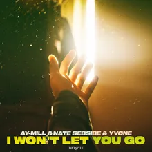 I Won't Let You Go