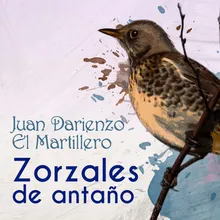 El Martillero