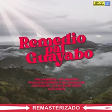 Remedio Pal Guayabo