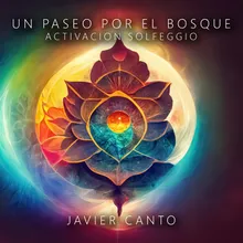 Un Paseo por el Bosque - Activacion Solfeggio