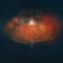 Supernova Turns to Black Hole