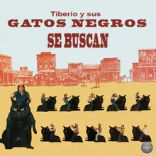 Mosaico Gato No. 3: Calla / Bandolera / Blancas Azucenas / Bombele