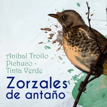 Pajaro Ciego