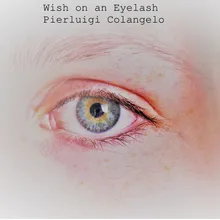 Wish on an Eyelash