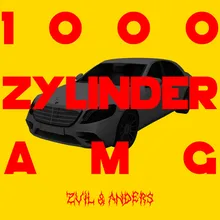 1000 Zylinder AMG