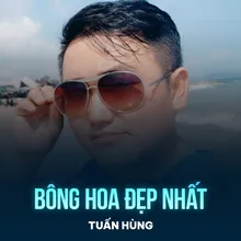 Bông Hoa Đẹp Nhất