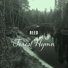 Forest Hymn