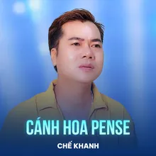 Cánh Hoa Pense