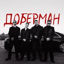 Доберман