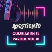 Cumbias en el parque Vol #1