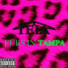 Furs in Tampa