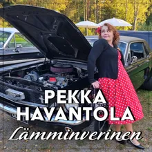 Lämminverinen