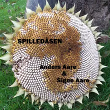 Spilledåsen