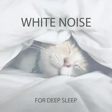 13 White Noise for Deep Sleep