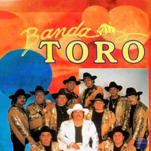 Toro Zacatecano