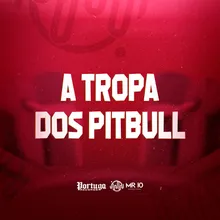 A TROPA DOS PITBULL