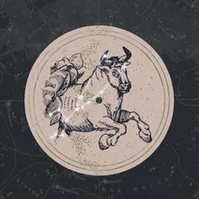 Taurus