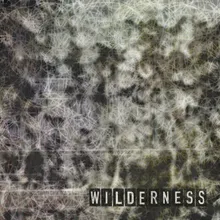 Wilderness