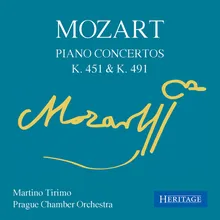 Piano Concerto No. 16 in D Major, K. 451: II. Andante