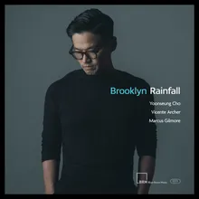 Brooklyn Rainfall