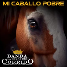 Mi Caballo Pobre