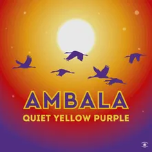 Quiet Yellow Purple