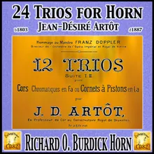 12 Trios Suite No. 2: 8. Allegretto pastorale