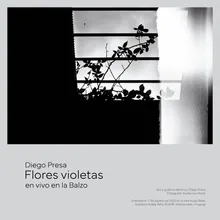 Flores Violetas