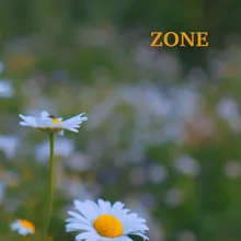 Zone