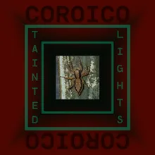 Tainted Lights