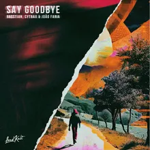 Say Goodbye