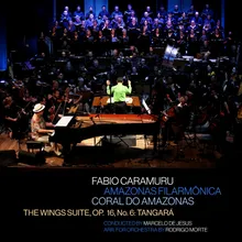 The Wings Suite, Op. 16, No. 6: Tangará (Arr. for Orchestra by Rodrigo Morte)
