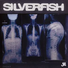 silverfish