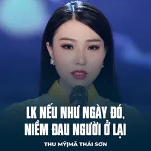 LK Nếu Được Làm Người Tình, Niềm Đau Dĩ Vãng