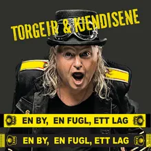 En By, En Fugl, Ett Lag