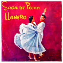 Soga de Pecho Llanero